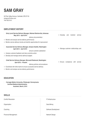 service delivery manager resume examples