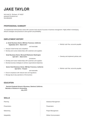 resume example small business owner