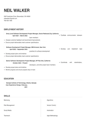 project manager resume software development