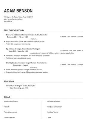 Sql Database Developer Resume Sample & Tips | Online Resume Builder