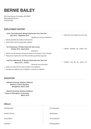 resume template for tax professionals