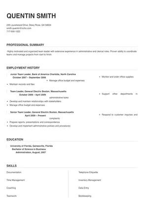 professional summary for resume team leader