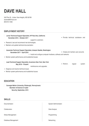 technical support specialist resume examples