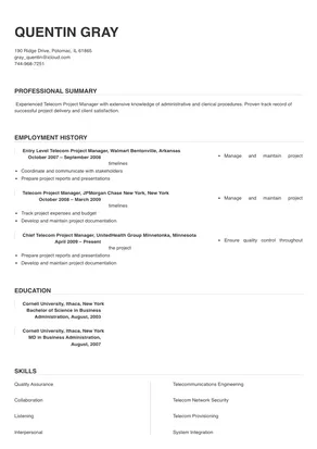 telecom project manager resume india