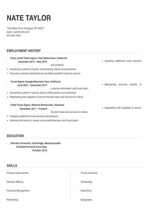 travel agent resume template