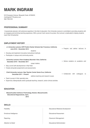 university lecturer resume examples