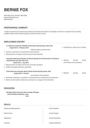 resume example for veterinary assistant