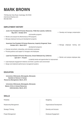human resources vp resume
